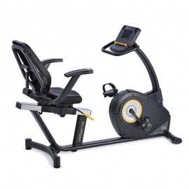 LifeSpan R3i Recumbent Bike